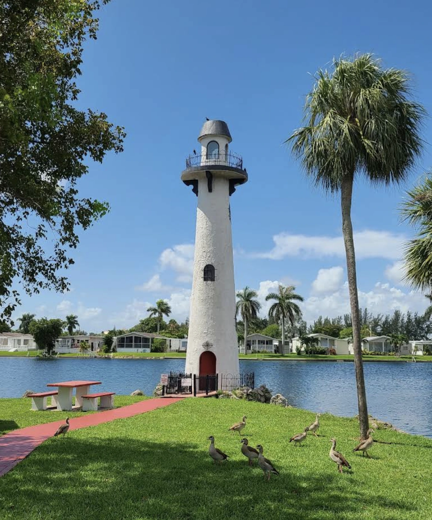 EFL Community Lighthouse